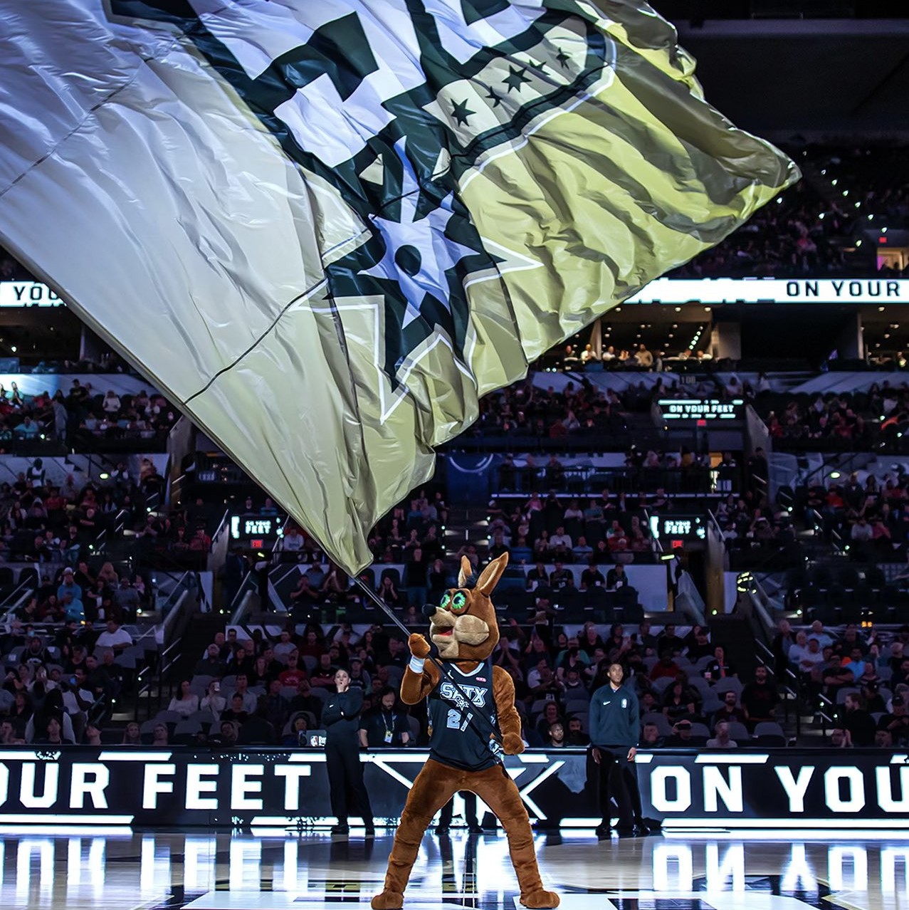 奥尔莫在西 奥尔莫在西